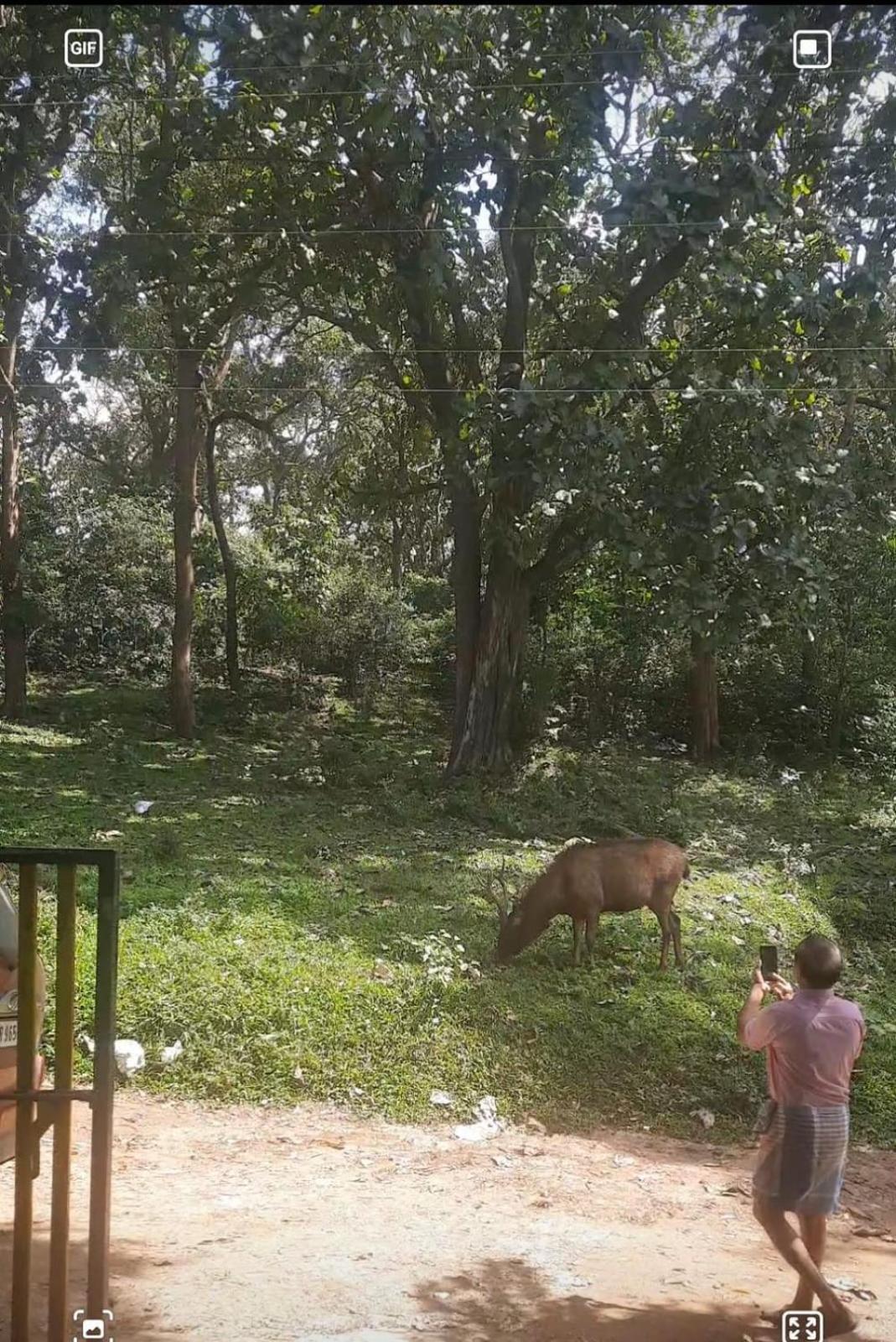 Wild Window - Forest View Homestay Thekkady Exterior foto