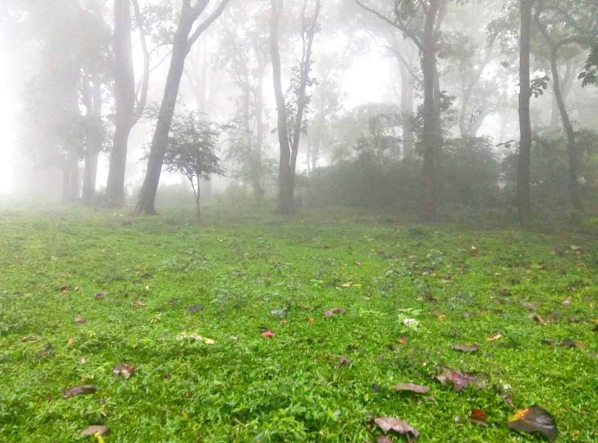 Wild Window - Forest View Homestay Thekkady Exterior foto